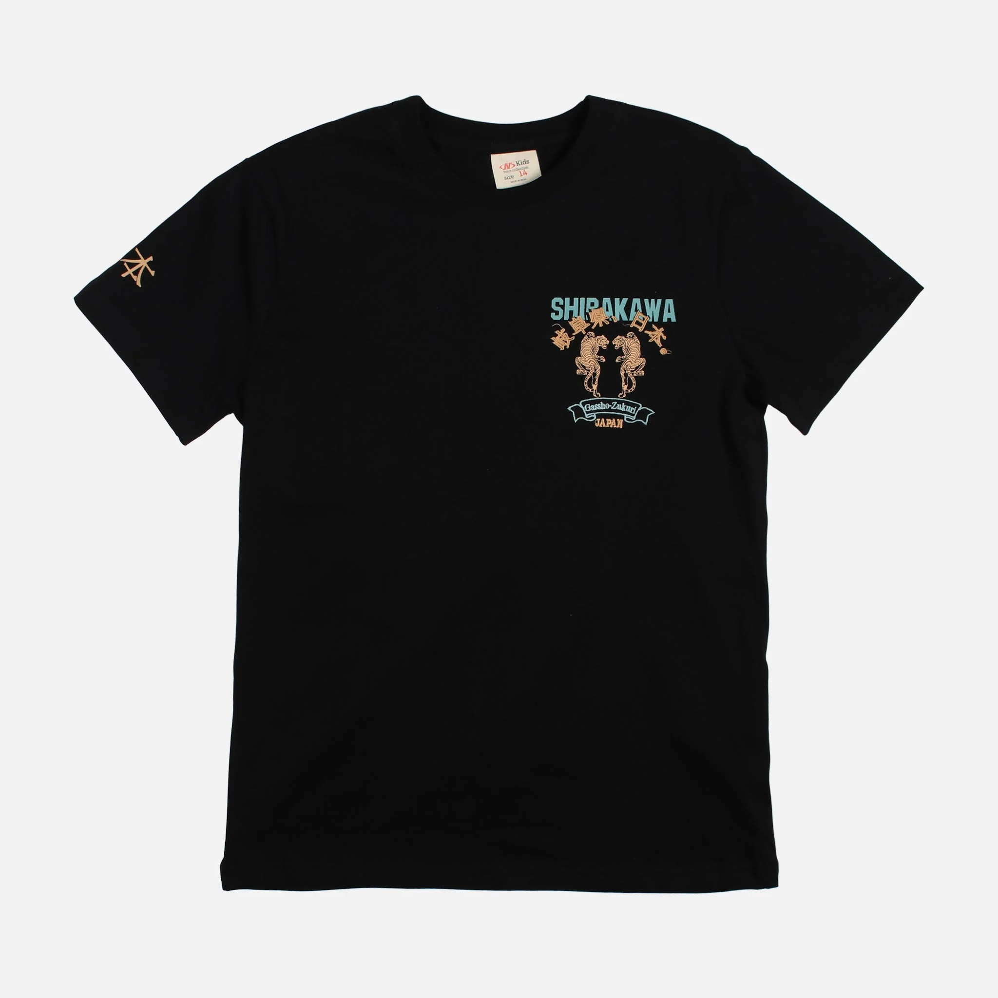 Boys T-Shirt Regular Fit