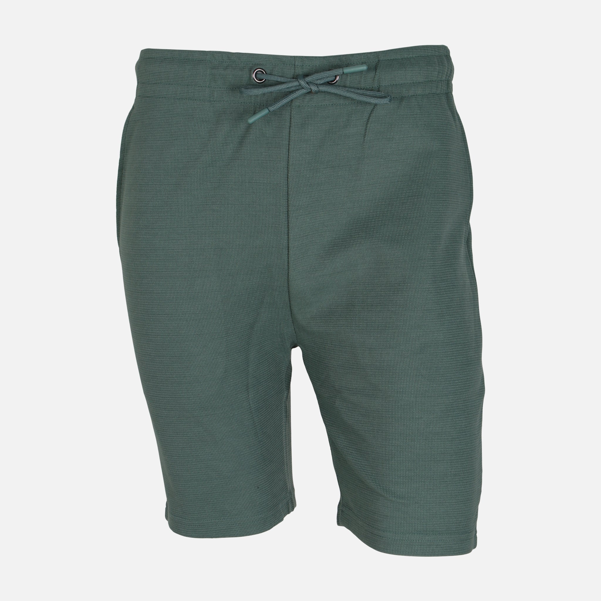 Men Shorts Regular Fit